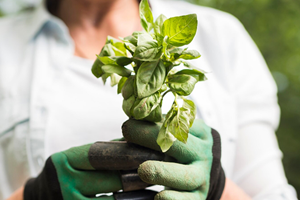 新規事業への取り組み